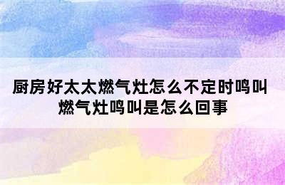 厨房好太太燃气灶怎么不定时鸣叫 燃气灶鸣叫是怎么回事